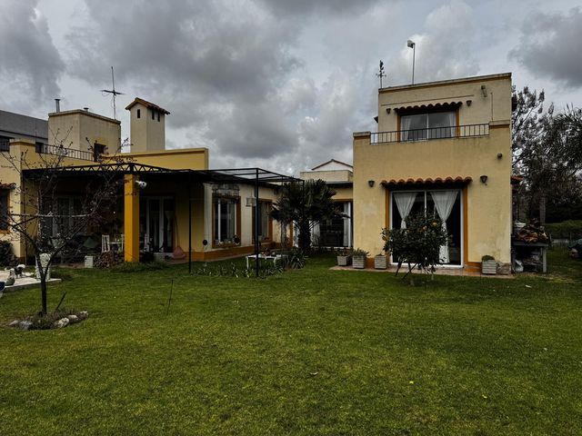 place photo 40