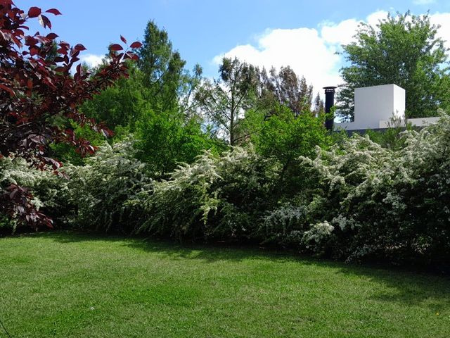 place photo 48