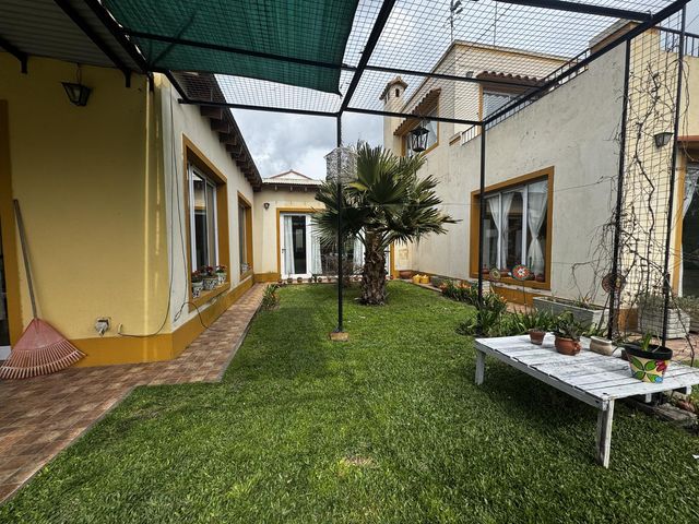 place photo 43