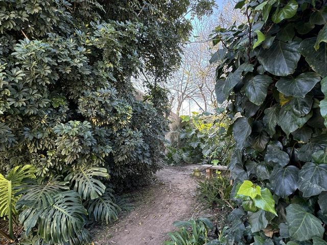 place photo 53