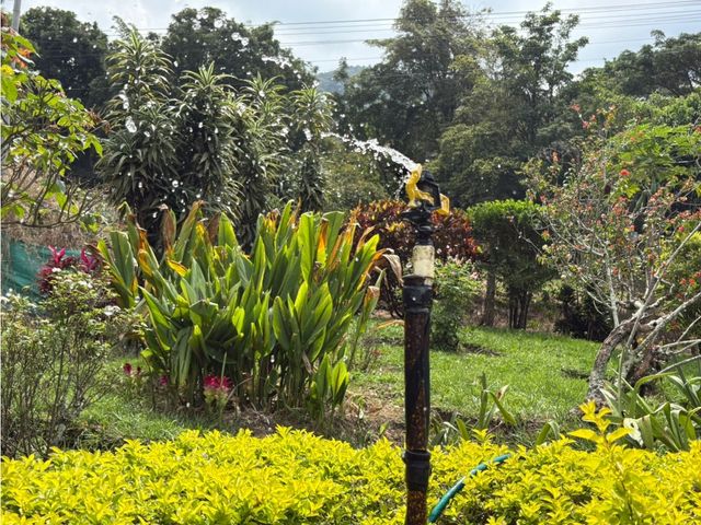 place photo 51