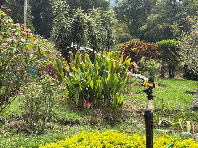 place photo 49