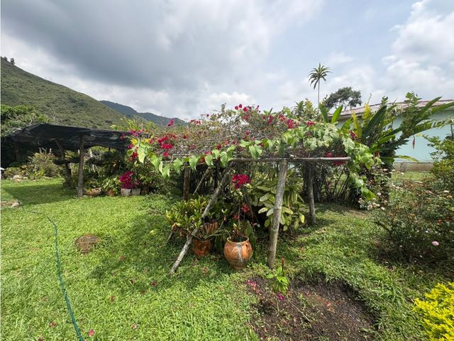 place photo 48