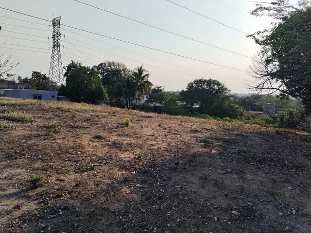 place photo 5