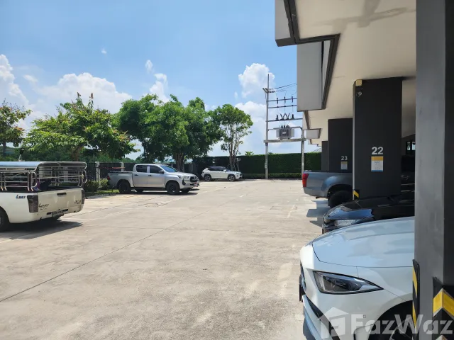 place photo 24