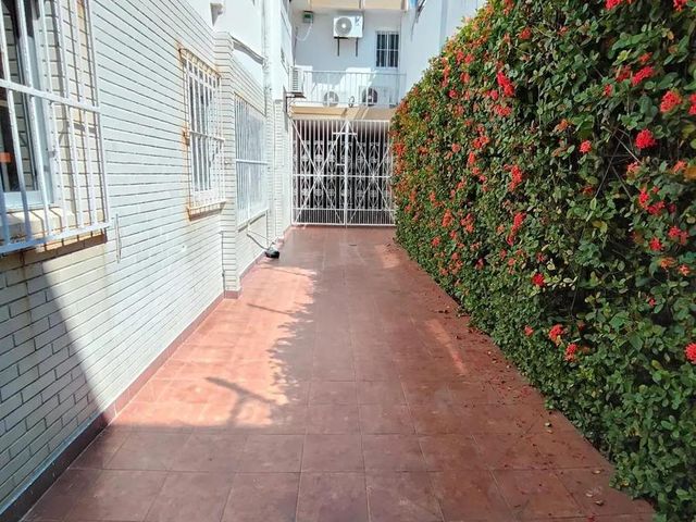 place photo 14