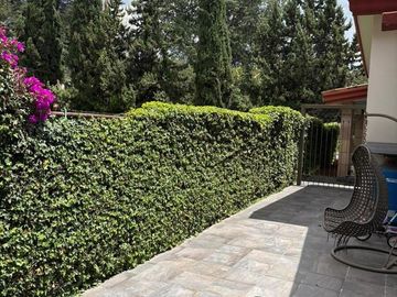 place photo 35
