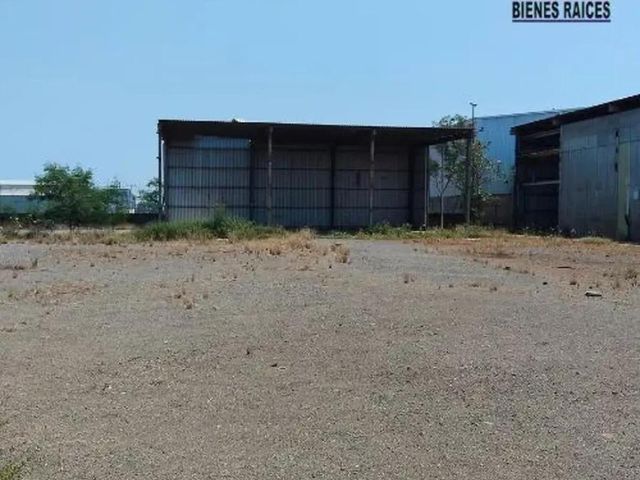 place photo 7