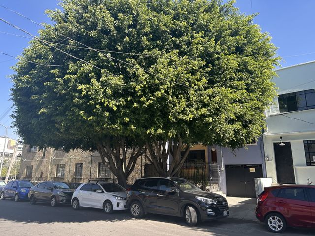 place photo 22