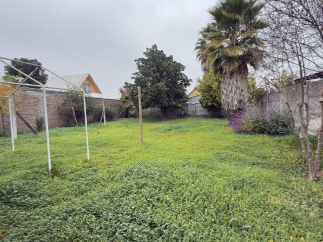 place photo 23