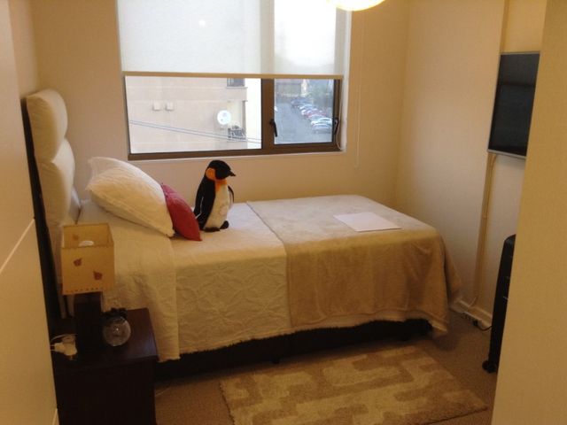 place photo 13