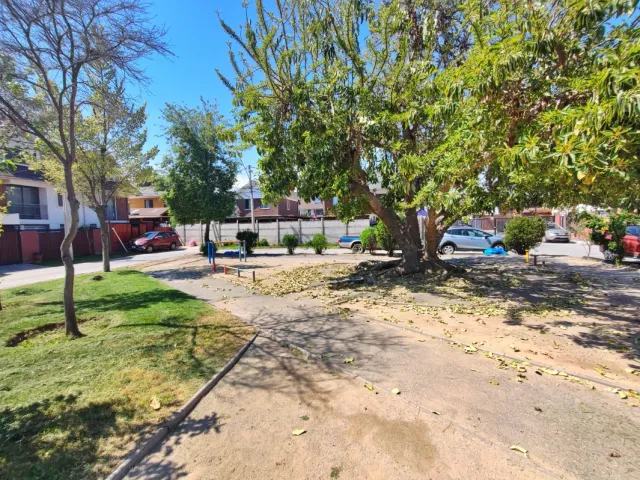 place photo 24