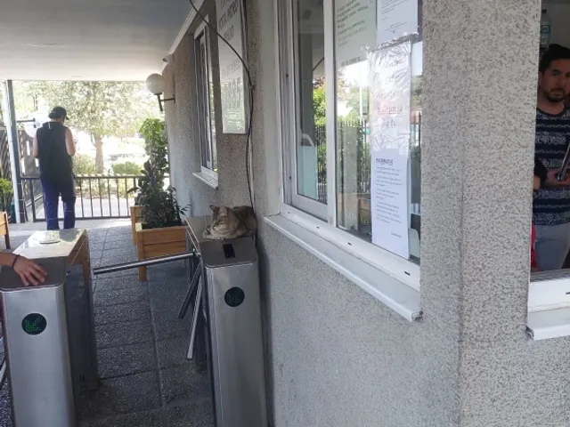 place photo 17