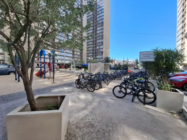 place photo 21