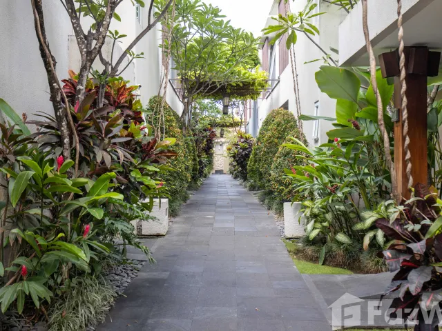place photo 42