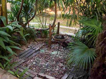 place photo 31