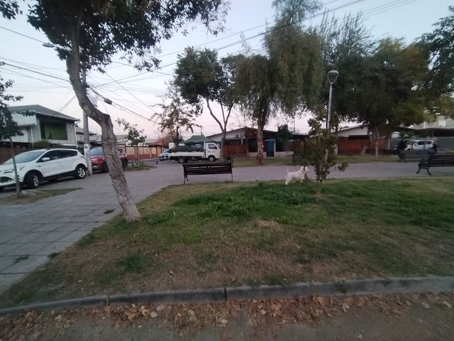 place photo 12