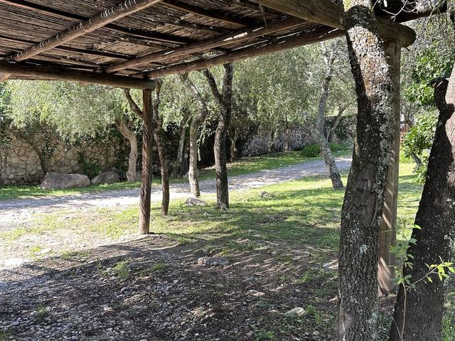 place photo 43