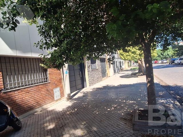 place photo 18