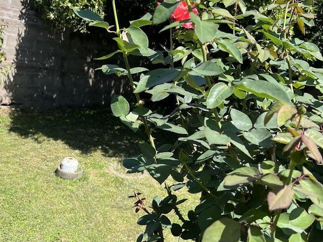 place photo 24
