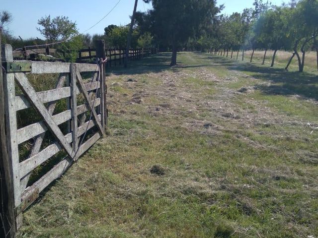 place photo 26