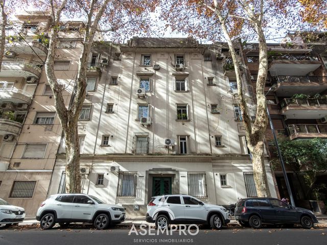 place photo 36
