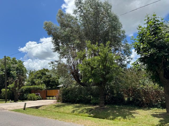 place photo 38