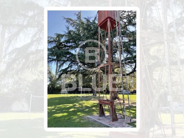 place photo 16