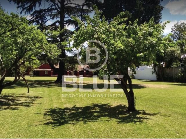 place photo 27