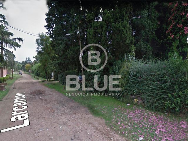 place photo 29