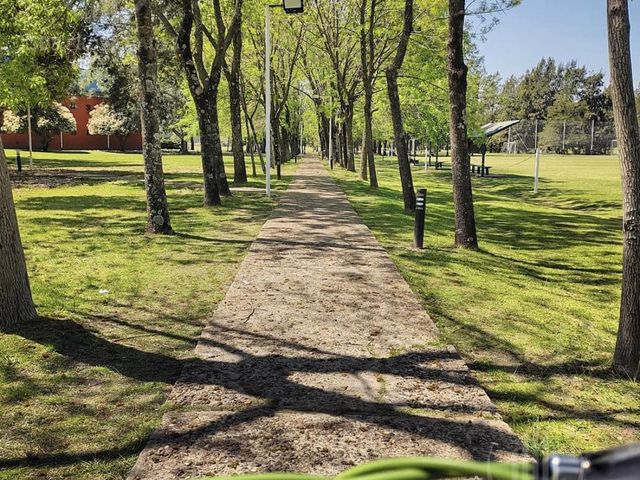 place photo 33