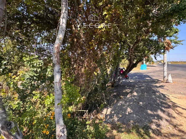 place photo 9