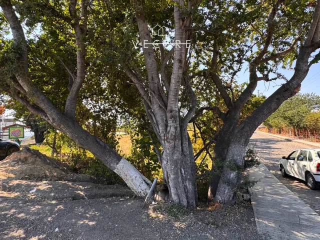 place photo 10
