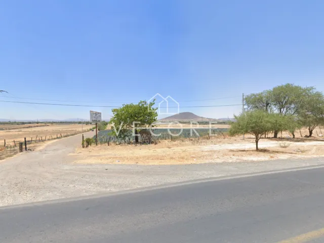 place photo 8