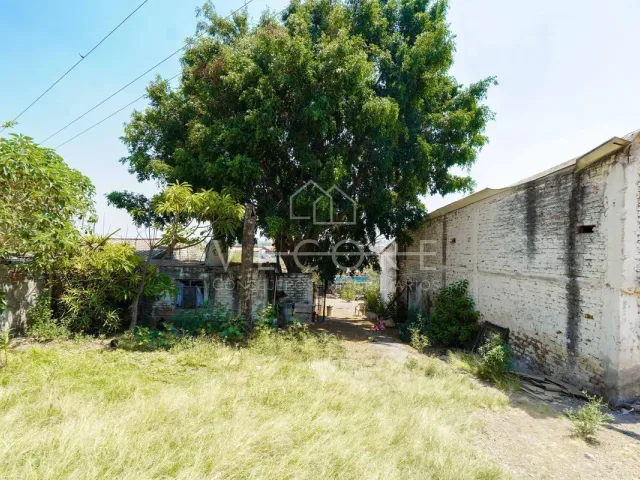 place photo 35