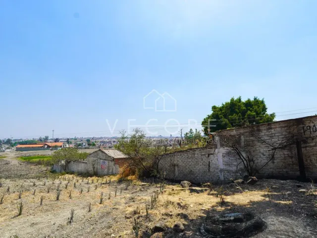 place photo 39