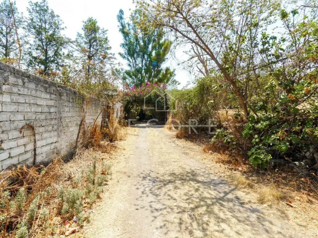 place photo 38