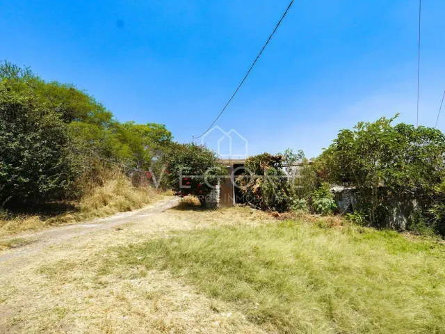 place photo 36