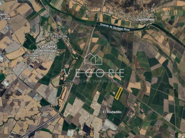 place photo 12