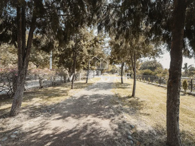 place photo 28