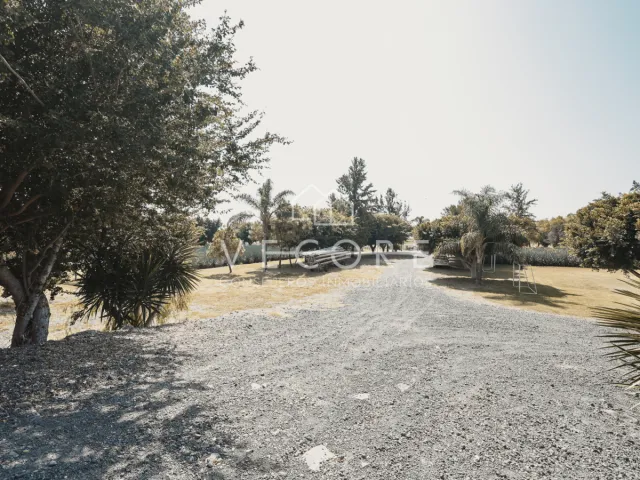 place photo 31