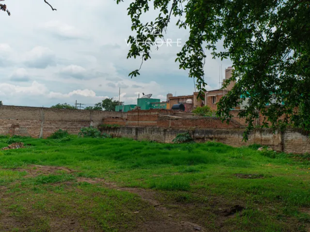 place photo 11