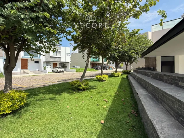 place photo 34
