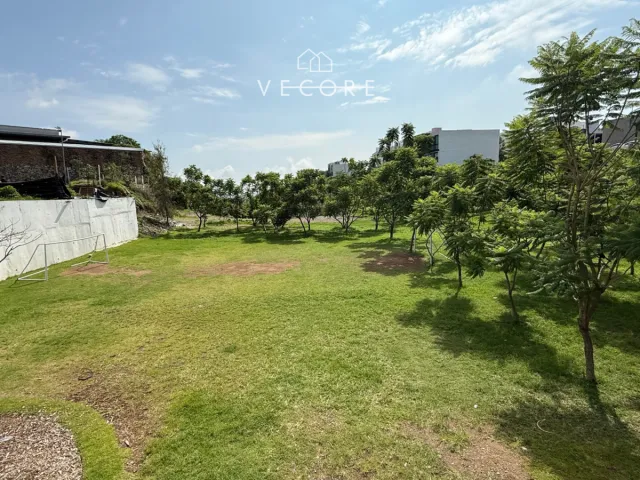 place photo 36