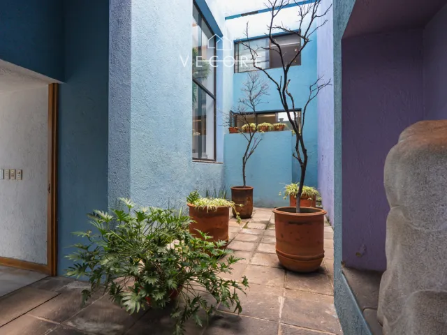 place photo 34
