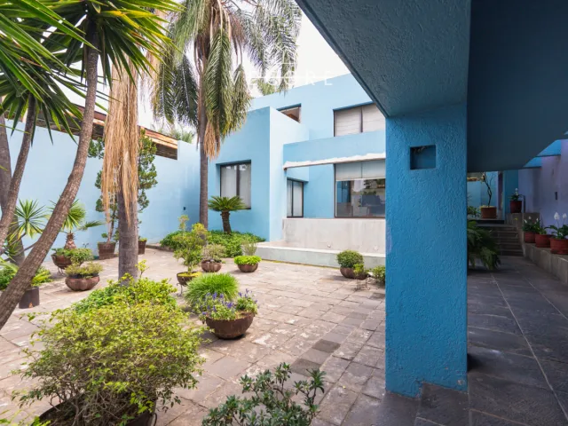 place photo 32