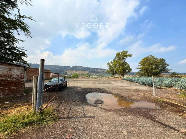 place photo 15