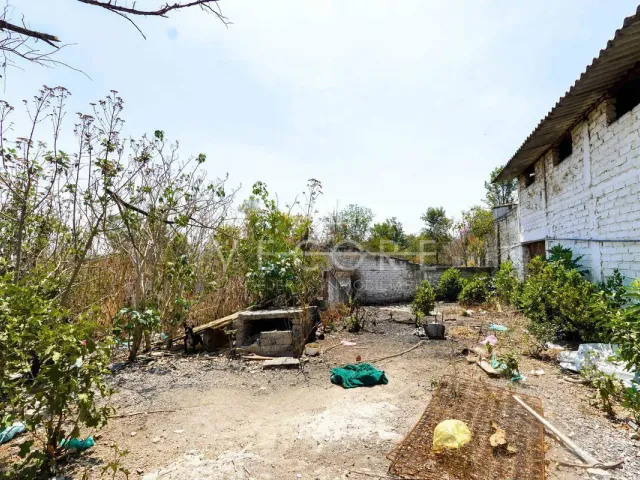 place photo 32