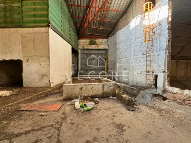 place photo 12