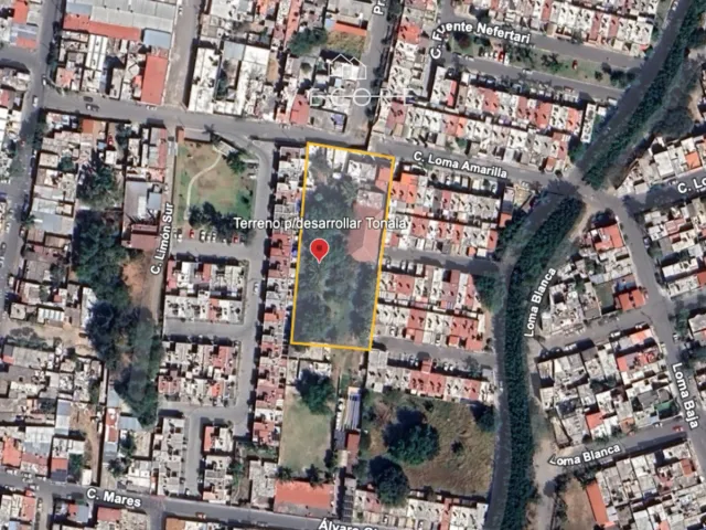 place photo 14